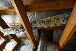  &copy;&nbsp;Елена Синеок, Юга.ру