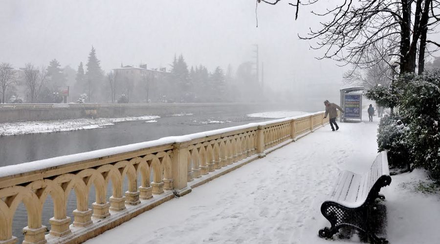  © Фото со страницы instagram.com/sochi.now