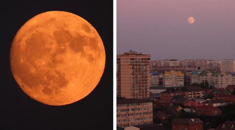 Оленье полнолуние &copy;&nbsp;Коллаж из скриншотов фото Дмитрия Лобанова