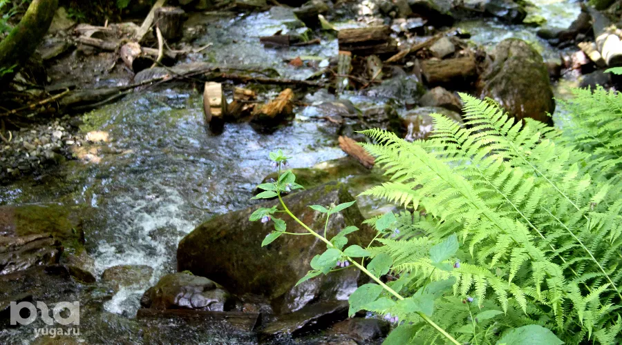  &copy;&nbsp;Фото Марины Солошко, Юга.ру