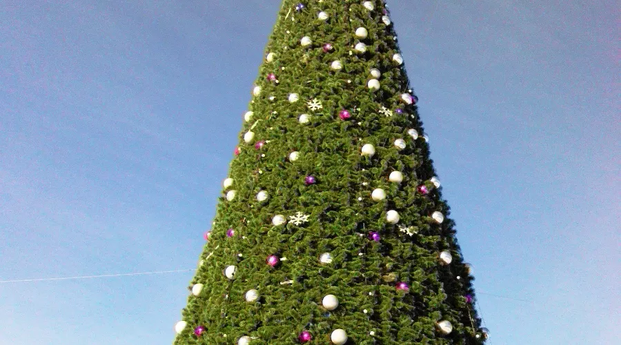 Торжественное открытие елки в Майкопе &copy;&nbsp;Елена Малышева