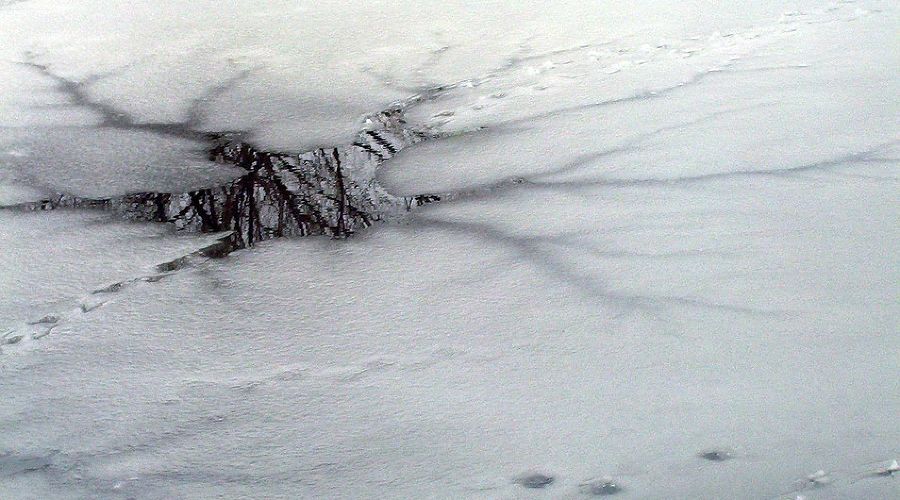  © Фото с сайта pixabay.com