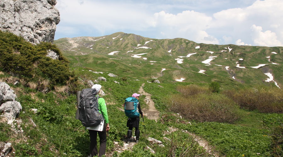  © Фото пресс-службы Кавказского заповедника