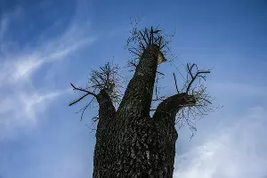  &copy;&nbsp;Фото Евгения Мельченко, Юга.ру