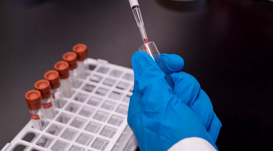  &copy;&nbsp;Фото Trust "Tru" Katsande с сайта Unsplash.com