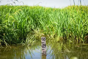  &copy;&nbsp;Фото Елены Синеок, Юга.ру