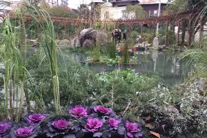  &copy;&nbsp;Фото Юлии Барановой, Юга.ру