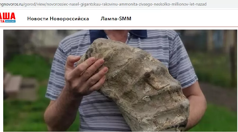  &copy;&nbsp;Скриншот ngnovoros.ru