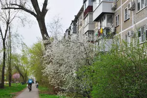  &copy;&nbsp;Фото Марины Солошко, Юга.ру