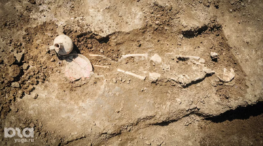  &copy;&nbsp;Фото Елены Синеок, Юга.ру