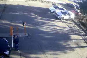  &copy;&nbsp;Кадр из видео t.me/krdru