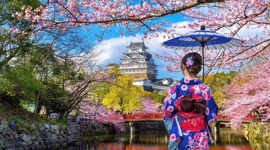  &copy;&nbsp;Фото tawatchai07, сайт freepik.com