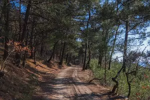 Веломаршрут из Кабардинки в Голубую бухту Геленджика &copy;&nbsp;Фото Романа Кокорина