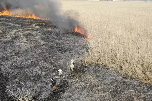  &copy;&nbsp;Фото пресс-службы ГУ МЧС России по Краснодарскому краю