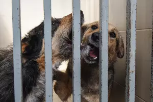  &copy;&nbsp;Елена Синеок, ЮГА.ру