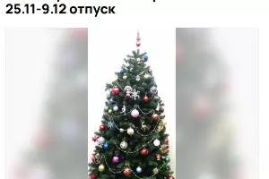  &copy;&nbsp;Скриншот с популярного сайта объявлений