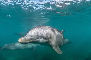  &copy;&nbsp;Фото wirestock, сайт freepik.com