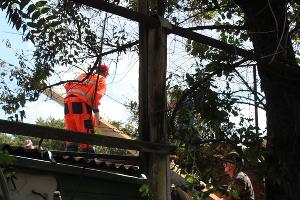  © Фото пресс-службы администрации Краснодара