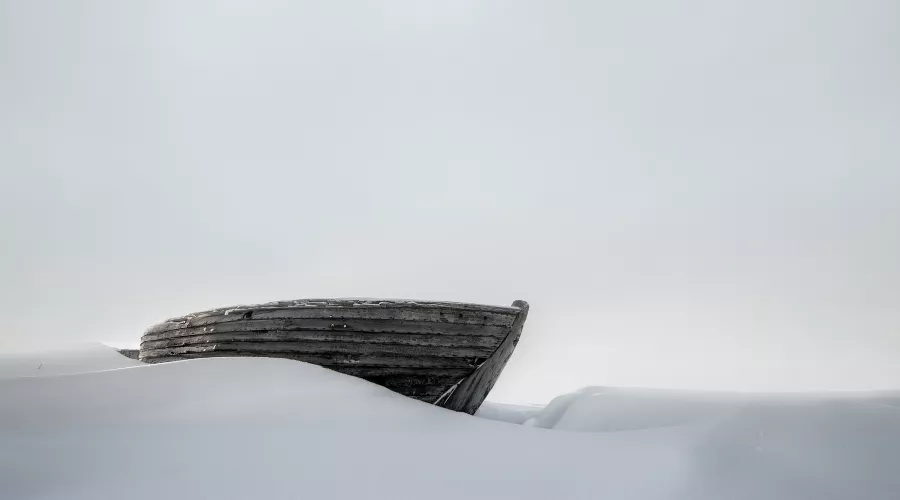 «Человек / Природа : трудности перевода» &copy;&nbsp;Фотография предоставлена пресс-службой выставочного зала