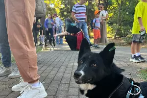  &copy;&nbsp;Фото t.me/pets_sochi_mamayka