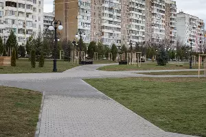 Аллея в честь 80-летия образования Краснодарского края &copy;&nbsp;Фото Елены Синеок, Юга.ру