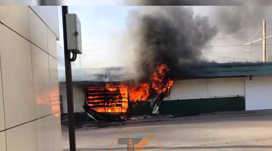  &copy;&nbsp;Фото из телеграм-канала &laquo;Телетайп Краснодара&raquo;, tmtr. me/tipichkras/2121