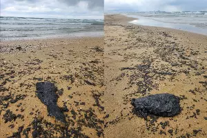  &copy;&nbsp;Коллаж из скриншотов фото из телеграм-канала &laquo;Макс Анапский&raquo;