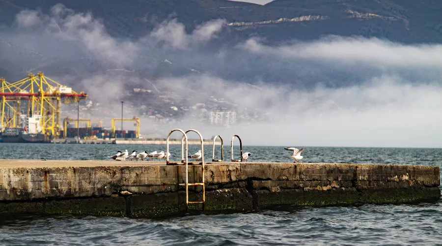 Туман в Новороссийске &copy;&nbsp;фото Tateshi Yokotaishi https://vk.com/sakanoid