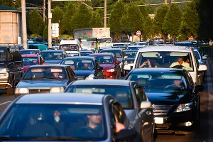  &copy;&nbsp;Фото Елены Синеок, Юга.ру