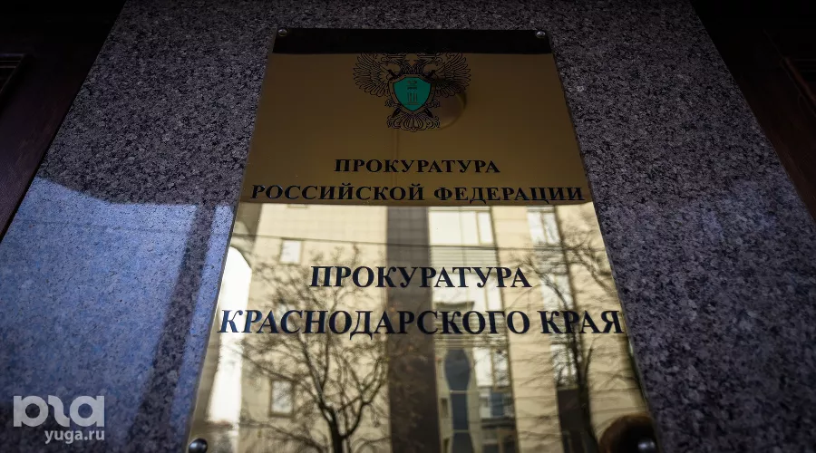  &copy;&nbsp;Елена Синеок, Юга.ру