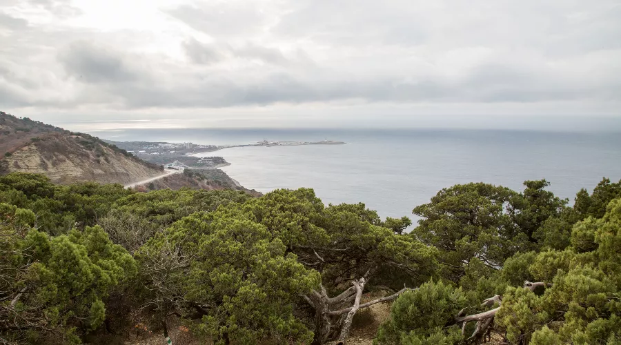  &copy;&nbsp;Фото пресс-службы администрации Анапы