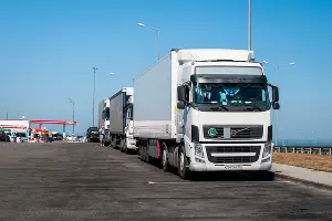  &copy;&nbsp;Фото Елены Синеок, Юга.ру