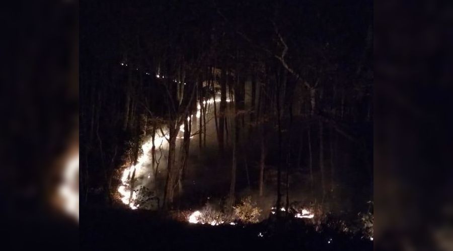 Пожар в районе поселка Планческая Щель © Фото «Кубанских новостей»