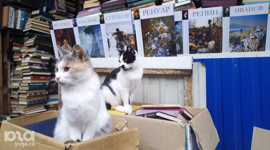  &copy;&nbsp;Фото Станислава Бандурки, Юга.ру