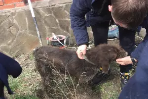  &copy;&nbsp;Фото со страницы instagram.com/alekseioderov