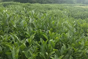  &copy;&nbsp;Фото Юга.ру