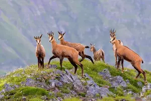  &copy;&nbsp;Фото Александра Перевозова