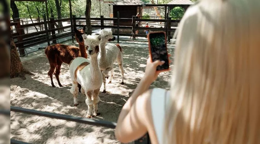 Парк «Лога» в Ростовской области &copy;&nbsp;Фото Евгения Чистякова, предоставлено пресс-службой Юго-Западного банка Сбербанка