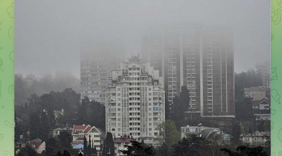 Туман в Сочи © Скриншот публикации телеграм-канала «Сочи Официальный», t.me/officialsochi