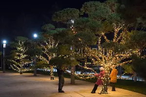 Парк «Краснодар» &copy;&nbsp;Фото Елены Синеок, Юга.ру