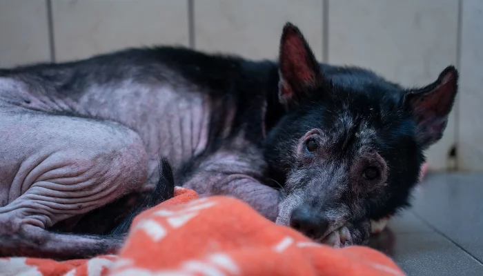  &copy;&nbsp;Фото предоставлено ТС &laquo;Пятёрочка&raquo;