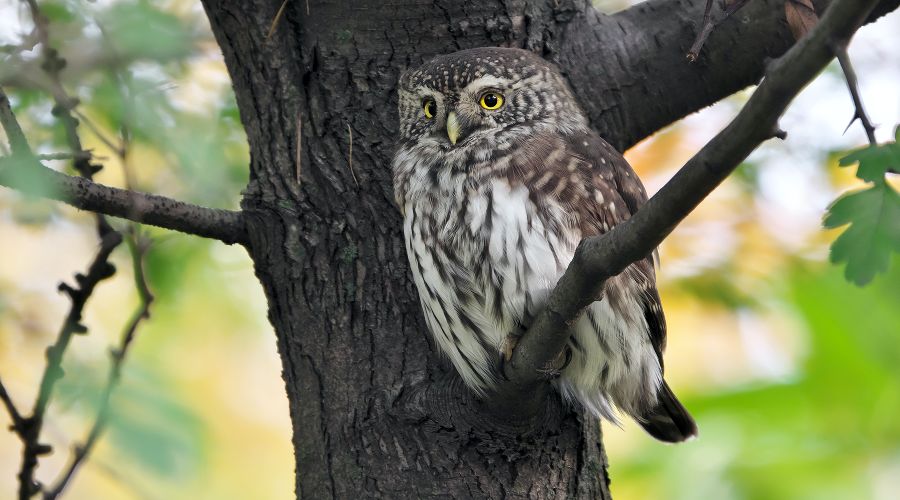  © Фото пользователя Andrey Gulivanov с сайта unsplash.com