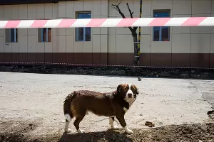 Краснодар на карантине &copy;&nbsp;Фото Евгения Мельченко, Юга.ру