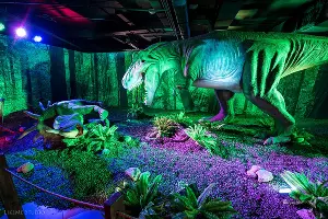  &copy;&nbsp;Фото пресс-службы &laquo;Сочи Парка&raquo;