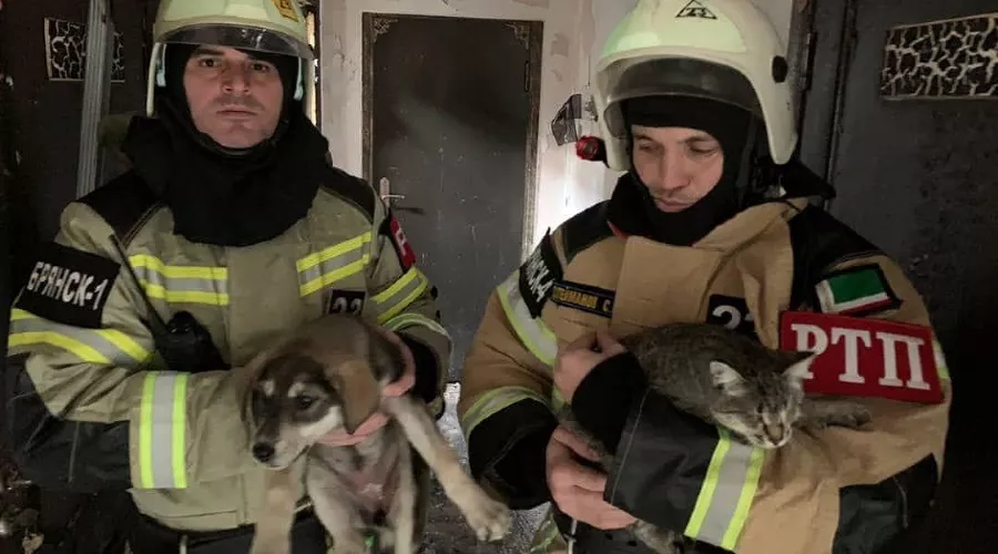  &copy;&nbsp;Фото пресс-службы ГУ МЧС по Республике Чечня