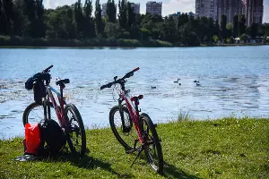  &copy;&nbsp;Фото Елены Синеок, Юга.ру