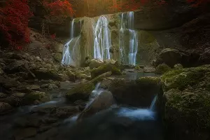Выставка финалистов фотоконкурса &laquo;Пойми живой язык природы&raquo; &copy;&nbsp;Фото Павла Баранникова