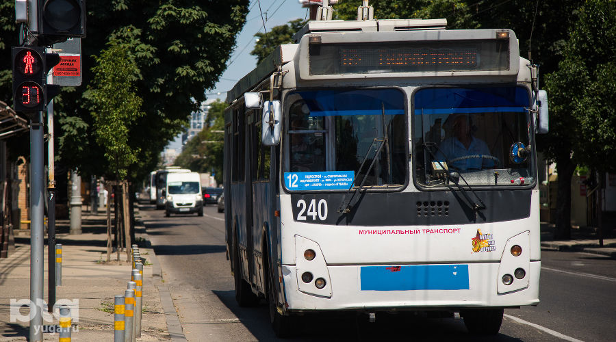  © Фото Елены Синеок, Юга.ру