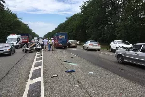  &copy;&nbsp;Фото со страницы vk.com/typical_krd