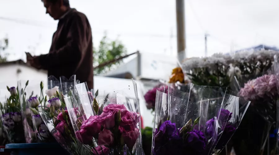  &copy;&nbsp;Елена Синеок, ЮГА.ру